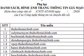 Nhan nhản website mạo danh, Bộ Tài chính đề nghị Bộ Công an vào cuộc xử lý