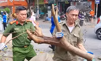 Hình ảnh Bộ Tư lệnh Cảnh sát cơ động phối hợp Công an Hà Nội làm sạch môi trường sau bão số 3