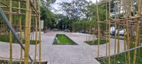 Rừng trúc thu nhỏ nằm giữa lòng Hà Nội