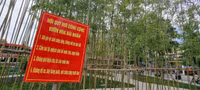Rừng trúc thu nhỏ nằm giữa lòng Hà Nội