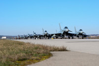 [ẢNH] Màn trình diễn ‘voi đi bộ’ kì lạ của không quân Đức