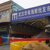 [ẢNH] WHO hé lộ báo cáo điều tra về nguồn gốc virus SARS-CoV-2