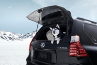 [ẢNH] Lexus GX 460 bổ sung phiên bản đặc biệt Black Line Edition