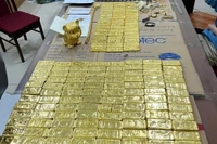 Lượng tài sản “khủng” được bố mẹ và bạn gái Mr Pips “gột rửa”, tẩu tán như thế nào?