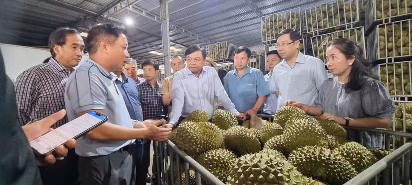 antd-sau-rieng.jpg
