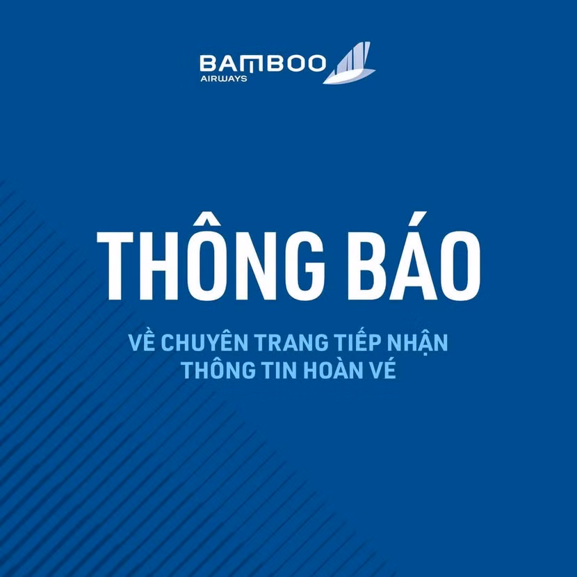 antd-bamboo.jpg