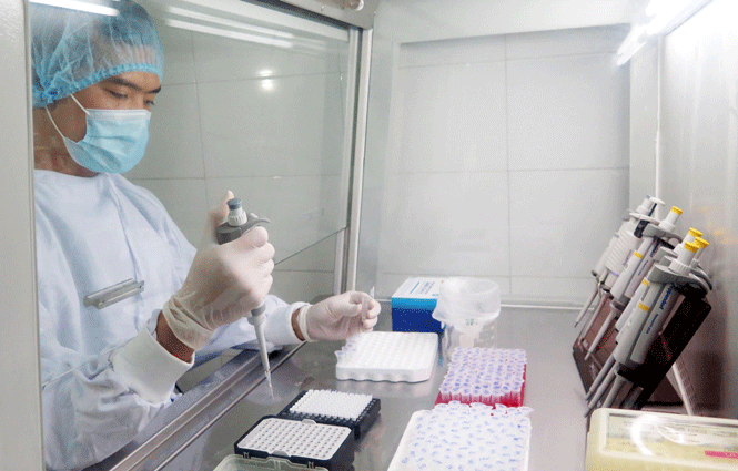 Giải trình tự gen mẫu bệnh phẩm nhiễm virus SARS-CoV-2 Giải trình tự gen mẫu bệnh phẩm nhiễm virus SARS-CoV-2