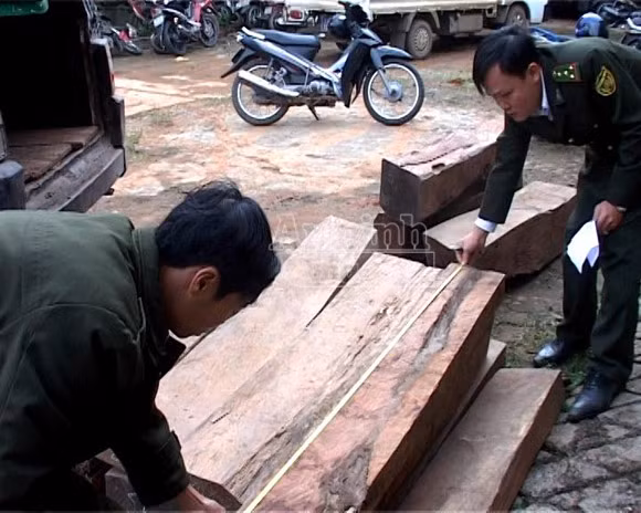 Bắt 2 vụ buôn gỗ lậu trị giá gần 300 triệu đồng ảnh 1