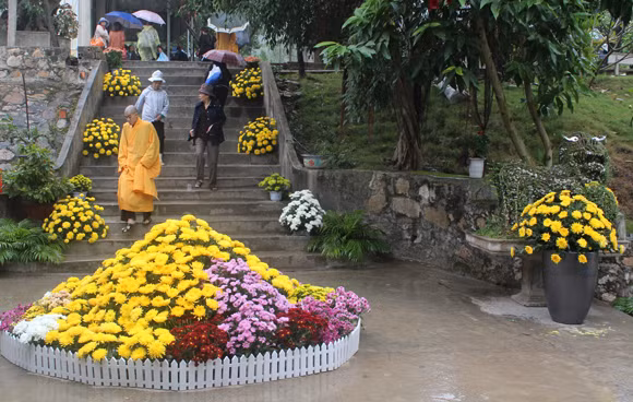 Về Quảng Ninh ghé thăm lễ hội hoa cúc ảnh 10