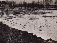 Nghẹn lòng những hình ảnh về Auschwitz - trại diệt chủng khét tiếng nhất được giải phóng 75 năm trước