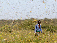 Không thể xem thường: 1/10 dân số thế giới có thể 