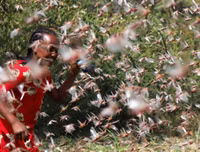 Không thể xem thường: 1/10 dân số thế giới có thể 