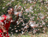 Không thể xem thường: 1/10 dân số thế giới có thể 