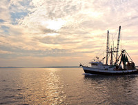 [Ảnh] Vụ hải táng 3 thuyền viên thổi bùng căng thẳng ngoại giao Indonesia - Trung Quốc