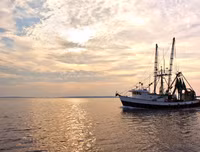 [Ảnh] Vụ hải táng 3 thuyền viên thổi bùng căng thẳng ngoại giao Indonesia - Trung Quốc