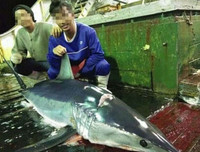 [Ảnh] Vụ hải táng 3 thuyền viên thổi bùng căng thẳng ngoại giao Indonesia - Trung Quốc