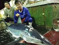 [Ảnh] Vụ hải táng 3 thuyền viên thổi bùng căng thẳng ngoại giao Indonesia - Trung Quốc