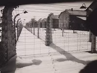 Nghẹn lòng những hình ảnh về Auschwitz - trại diệt chủng khét tiếng nhất được giải phóng 75 năm trước