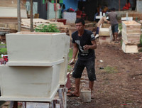 Indonesia: 1 tháng rưỡi từ 