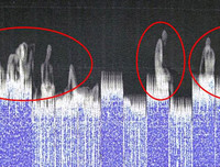 Toàn cảnh cuộc điều tra vụ 39 thi thể trong xe đông lạnh ở Anh