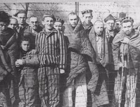 Nghẹn lòng những hình ảnh về Auschwitz - trại diệt chủng khét tiếng nhất được giải phóng 75 năm trước