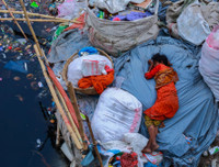 Thông điệp về môi trường thế giới qua những bức ảnh đoạt giải CIWEM 2019