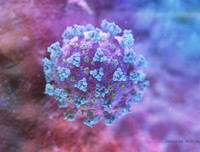 Những sự kiện gây sốc nhất chỉ trong 100 ngày đầu tiên của năm 2020