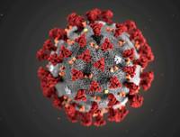 Những sự kiện gây sốc nhất chỉ trong 100 ngày đầu tiên của năm 2020