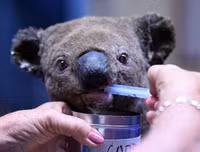 Những sự kiện gây sốc nhất chỉ trong 100 ngày đầu tiên của năm 2020