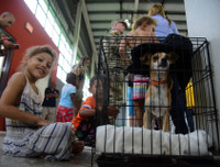 [Ảnh] Người Mỹ hối hả trong guồng quay chống đỡ siêu bão Dorian