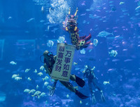 Hình ảnh mới nhất về đón Tết Canh Tý 2020 trên thế giới