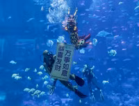 Hình ảnh mới nhất về đón Tết Canh Tý 2020 trên thế giới