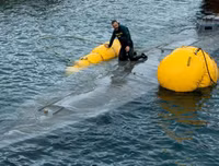 [Ảnh] Tàu ngầm ‘quan tài’ chở ma tuý xuyên đại dương bị Tây Ban Nha ‘tóm sống’