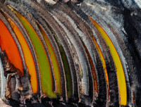 Thông điệp về môi trường thế giới qua những bức ảnh đoạt giải CIWEM 2019