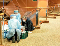 Đi tàu du lịch hạng sang nhưng 