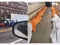 Hãi hùng cảnh hàng dài xe đông lạnh chờ chở thi thể từ các bệnh viện New York