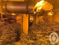 Phát hiện trang trại trồng cần sa bí mật ngay dưới nền nhà hát cũ ở London