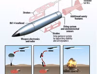 Mỹ nhân nhượng với Thổ Nhĩ Kỳ vì 