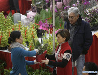 Hình ảnh mới nhất về đón Tết Canh Tý 2020 trên thế giới