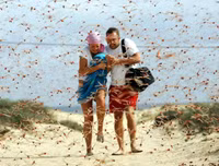 Không thể xem thường: 1/10 dân số thế giới có thể 