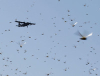 Không thể xem thường: 1/10 dân số thế giới có thể 