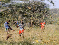 Không thể xem thường: 1/10 dân số thế giới có thể 