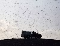 Không thể xem thường: 1/10 dân số thế giới có thể 