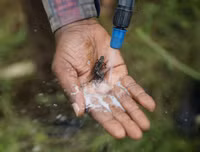 Không thể xem thường: 1/10 dân số thế giới có thể 