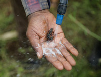 Không thể xem thường: 1/10 dân số thế giới có thể 