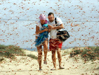 Không thể xem thường: 1/10 dân số thế giới có thể 