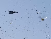 Không thể xem thường: 1/10 dân số thế giới có thể 