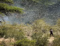 Không thể xem thường: 1/10 dân số thế giới có thể 