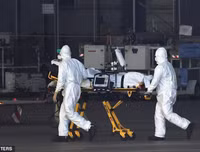 Pháp và Italia sơ tán bệnh nhân Covid-19 nhờ Đức điều trị