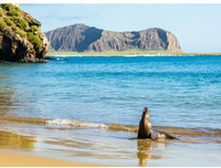 [Ảnh] Đội tàu đánh cá 